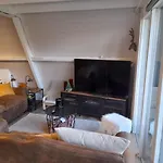 Cosy
