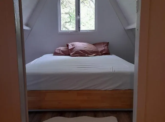 Cosy * デュルビュイ